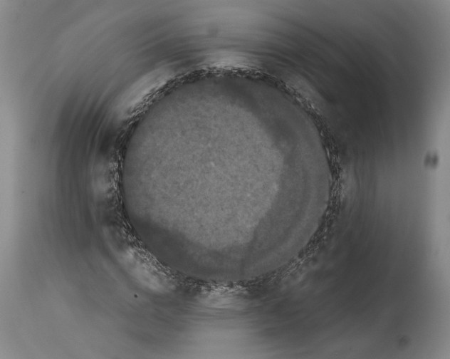 X0000114620824200911101212