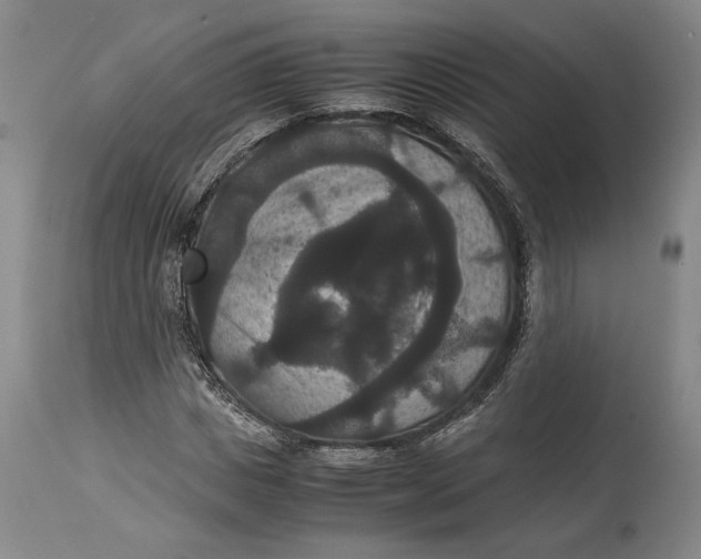X0000114620825200911101212