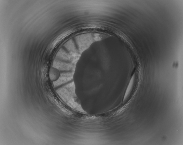 X0000114620826200911101212