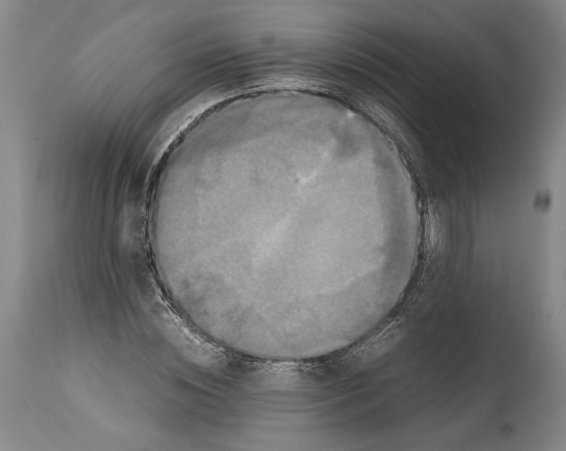 X0000114620828200911101212