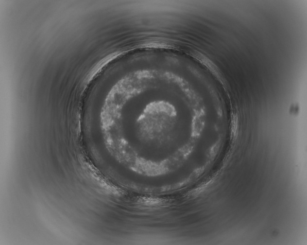 X0000114620829200911101212