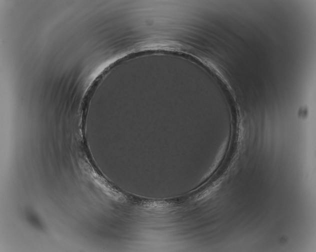 X0000114620830200911101212