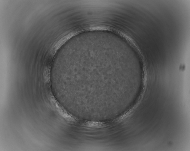 X0000114620833200911101212