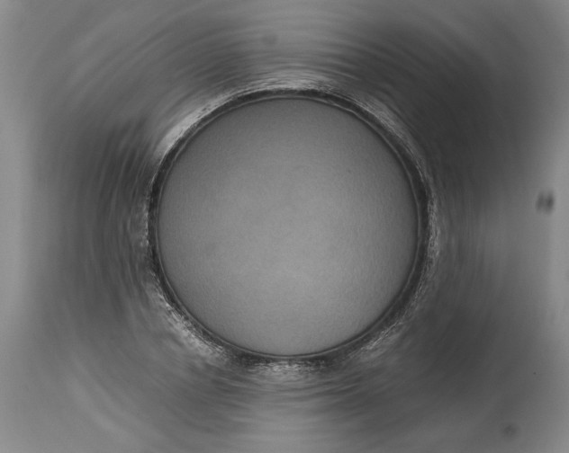 X0000114620834200911101212