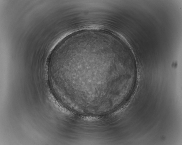X0000114620835200911101212