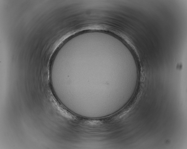 X0000114620837200911101212