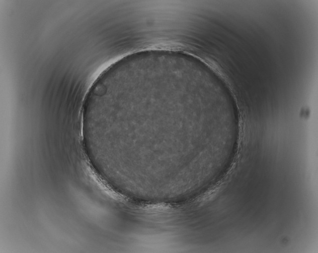 X0000114620838200911101212