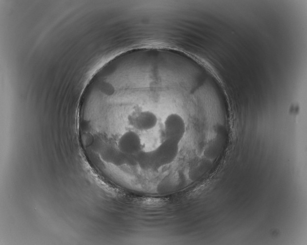 X0000114620839200911101212