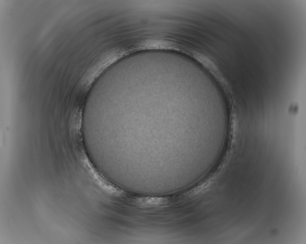 X0000114620841200911101212