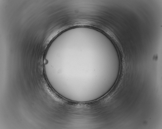 X0000114620842200911101212