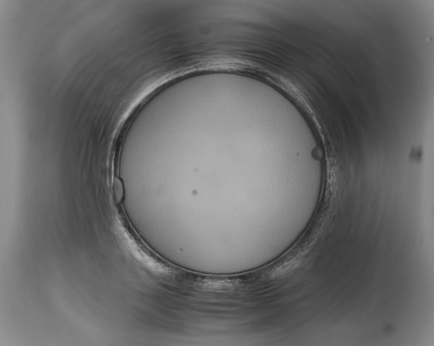 X0000114620843200911101212