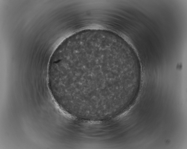 X0000114620845200911101213
