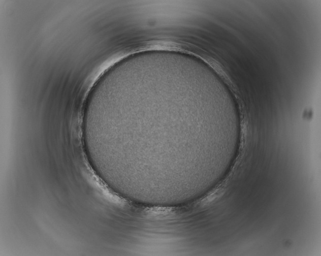 X0000114620846200911101213
