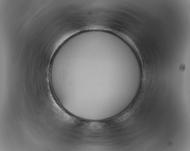 X0000114620847200911101213