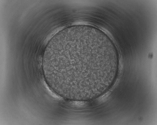 X0000114620849200911101213