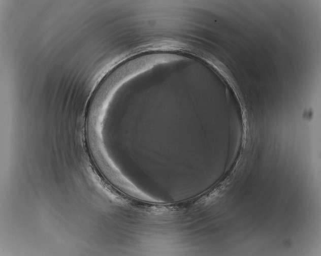 X0000114620850200911101213