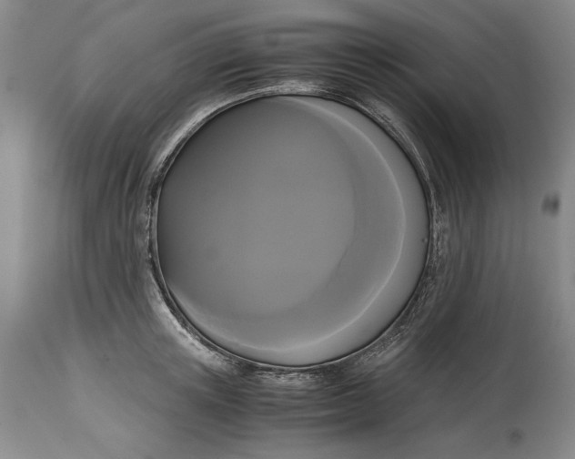 X0000114620851200911101213