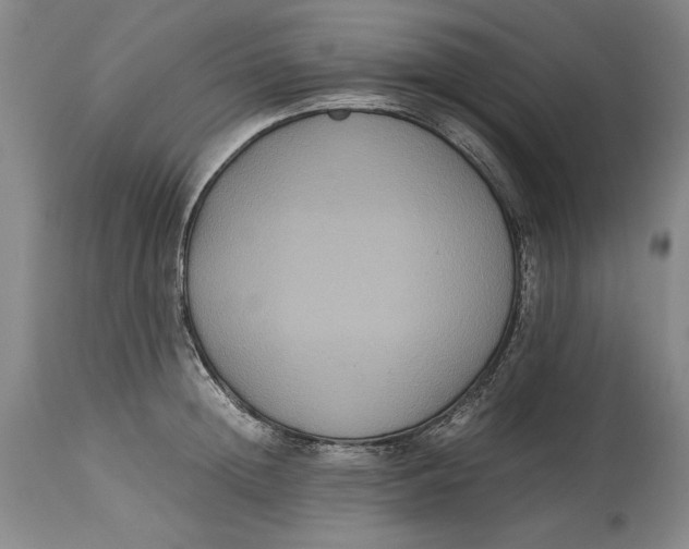 X0000114620852200911101213