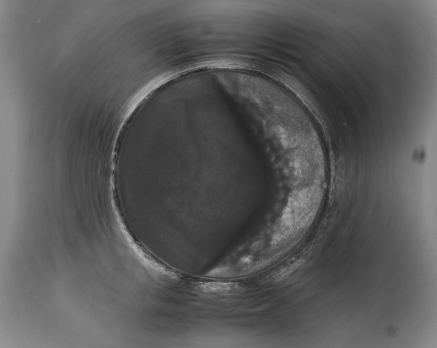 X0000114620853200911101213