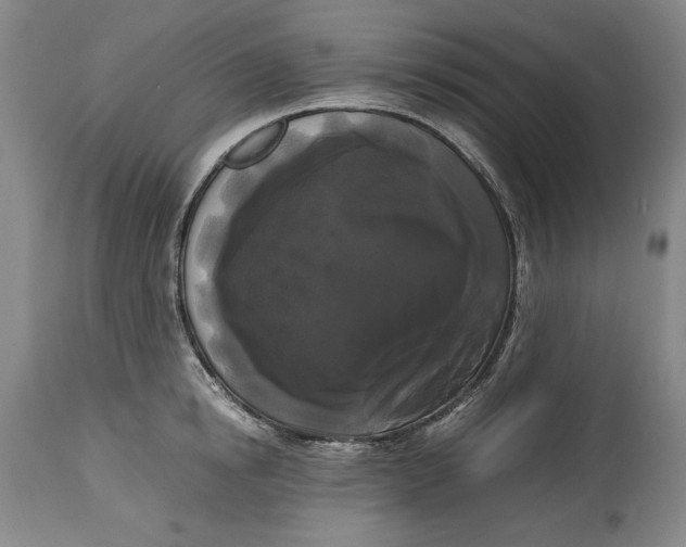 X0000114620854200911101213