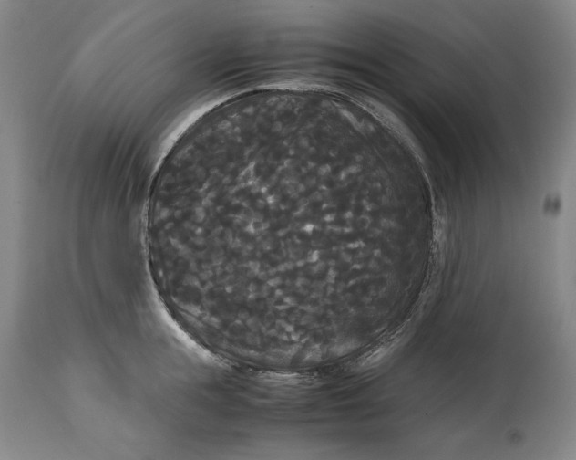 X0000114620855200911101213