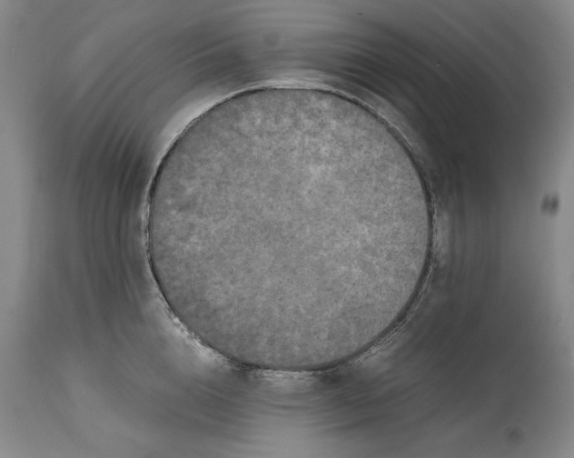 X0000114620856200911101213