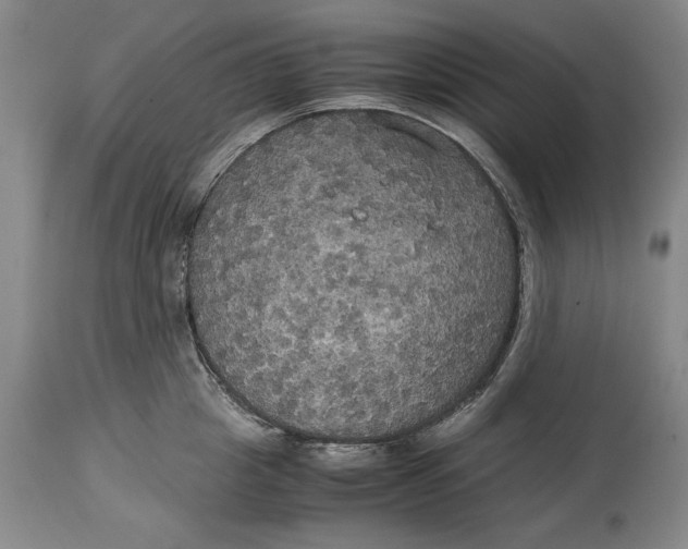 X0000114620857200911101213