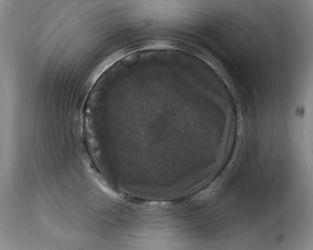 X0000114620858200911101213