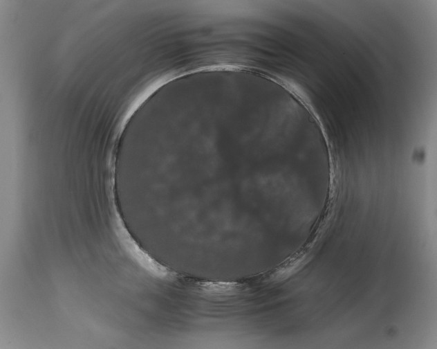 X0000114620859200911101213