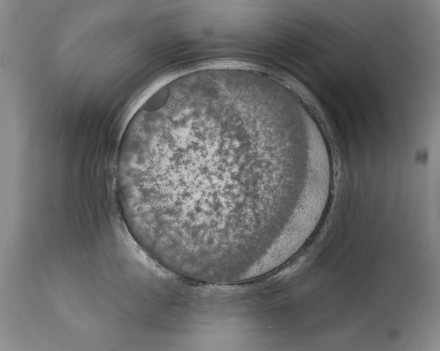 X0000114620860200911101213