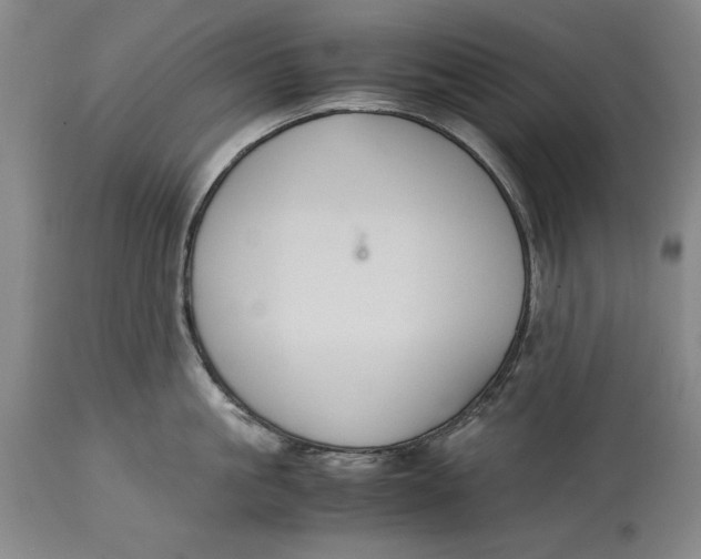X0000114620861200911101213