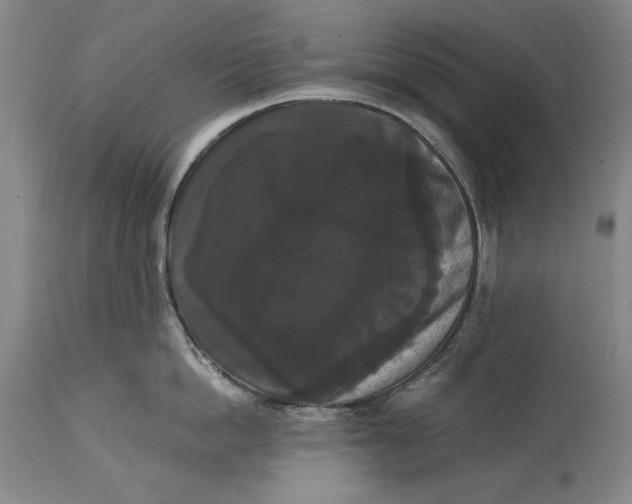 X0000114620862200911101213