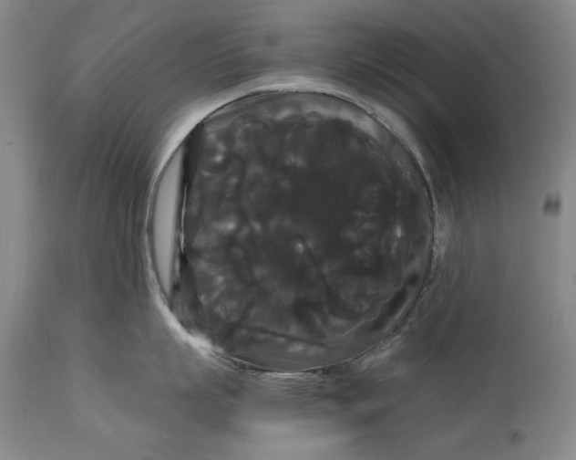 X0000114620863200911101213