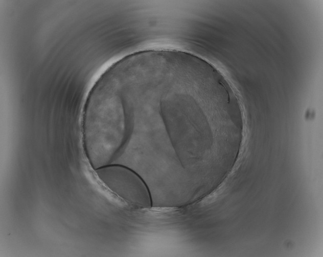 X0000114620864200911101213