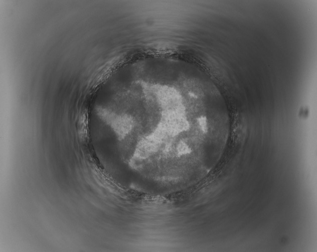 X0000114620866200911101212