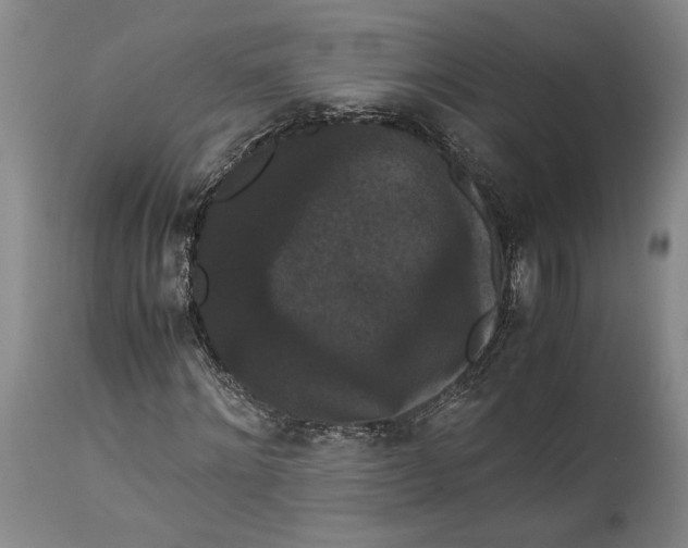 X0000114620868200911101212
