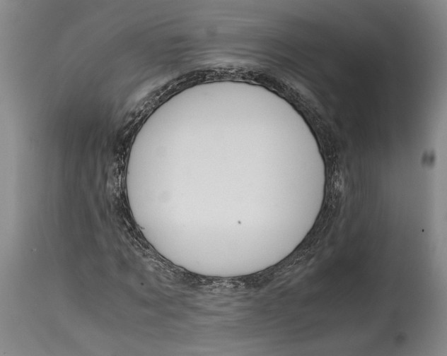 X0000114620869200911101212