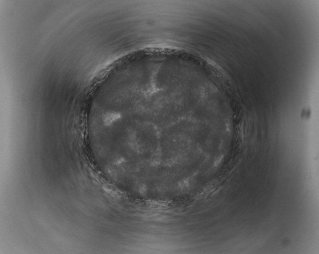 X0000114620870200911101212