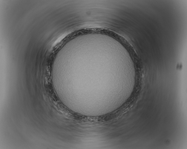 X0000114620871200911101212