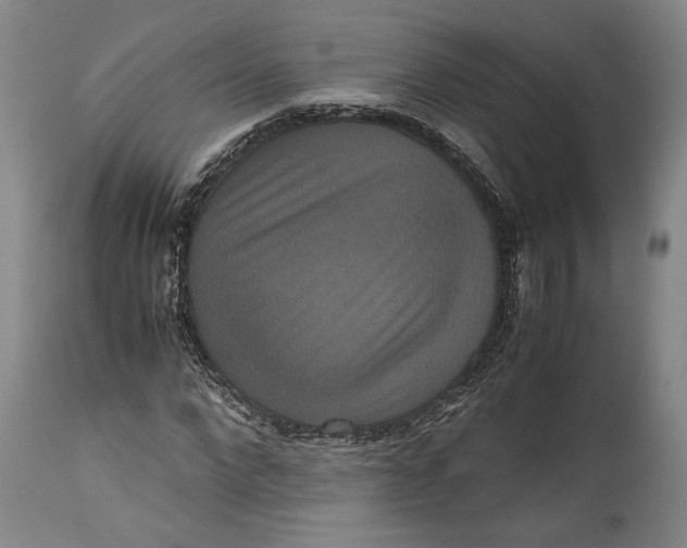 X0000114620872200911101212