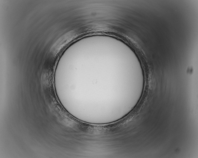 X0000114620873200911101212