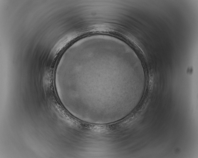 X0000114620874200911101212