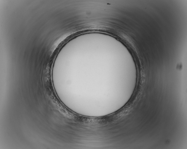 X0000114620875200911101212