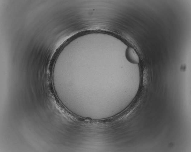 X0000114620876200911101212