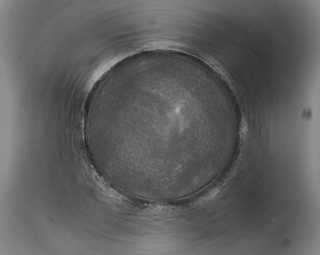 X0000114620877200911101212