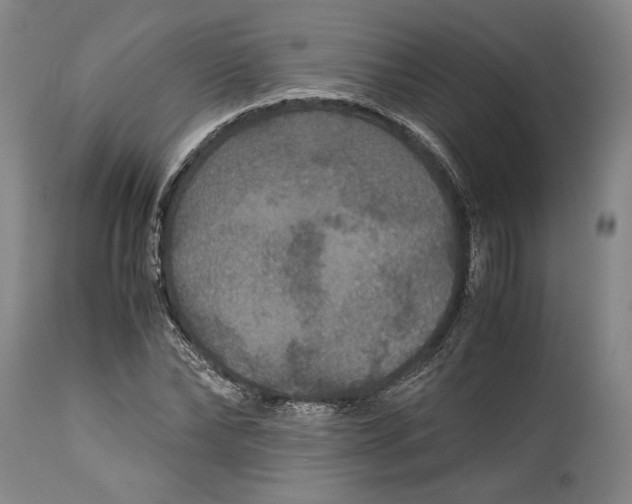 X0000114620878200911101212