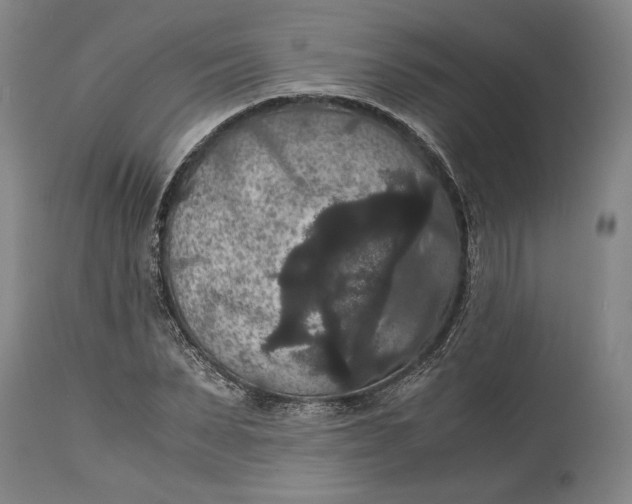 X0000114620879200911101212