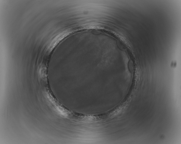 X0000114620881200911101212