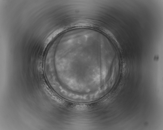 X0000114620882200911101212