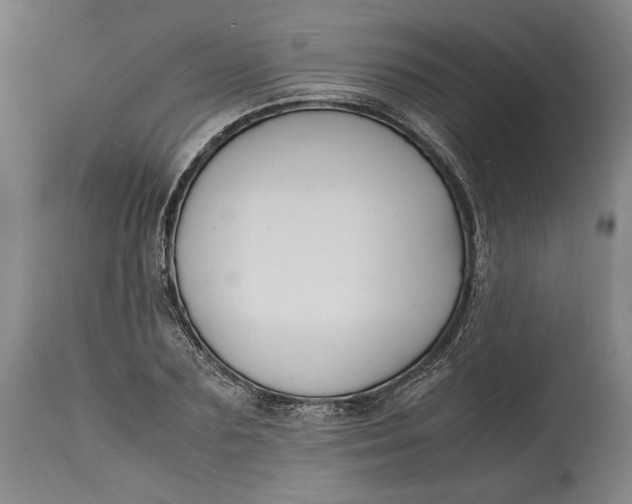 X0000114620883200911101212